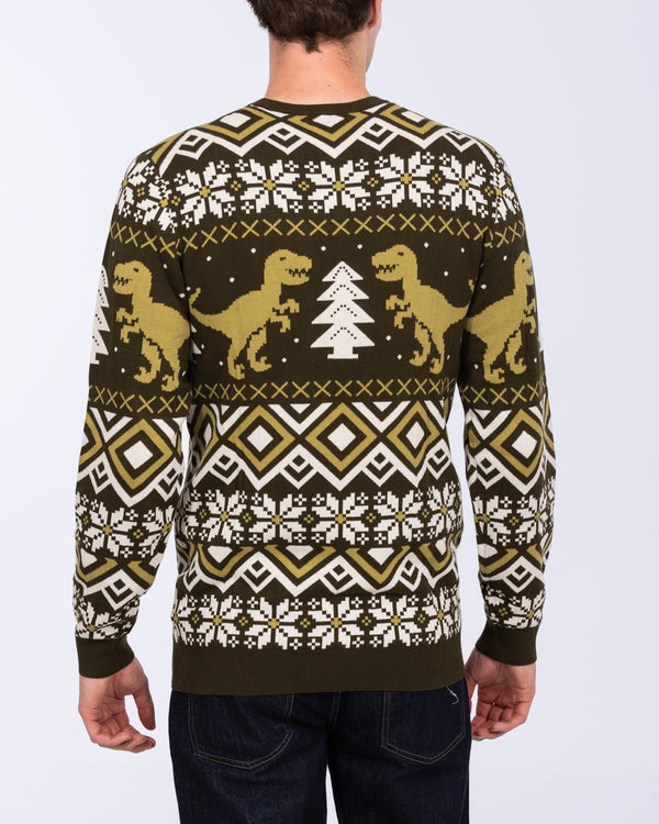 2t Tall Fairisle Christmas Jumper (green novelty)