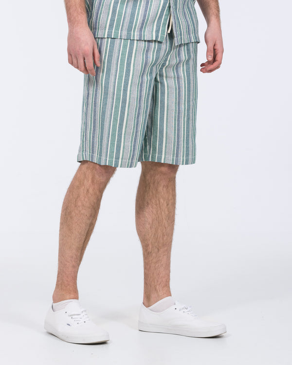 2t Greg Tall Striped Shorts (green)