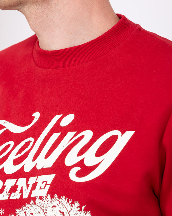 2t Tall Christmas Printed Sweatshirt (red novelty)