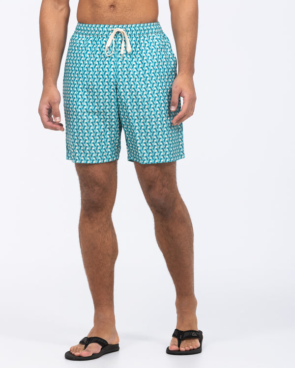 2t Harry Tall Swim Shorts (turquoise)