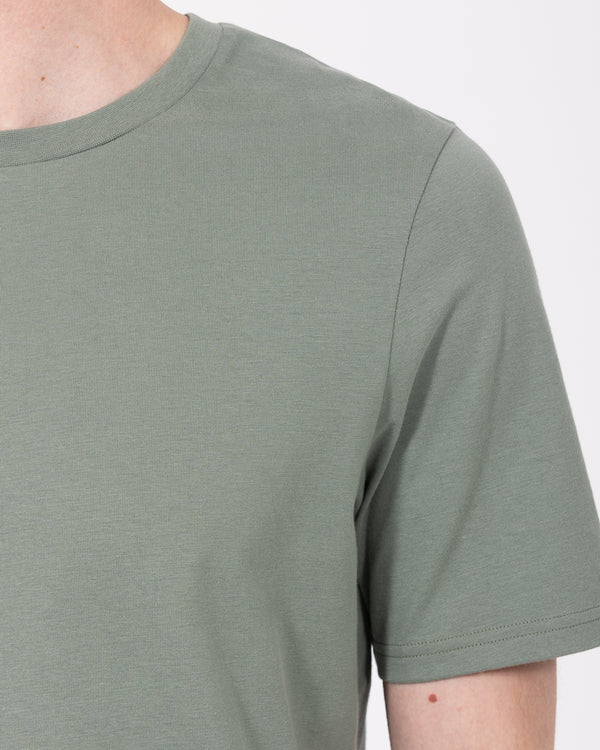2t Liam Tall Regular Fit T-Shirt (sage)