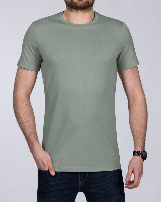 2t Tall T-Shirt (sage green)