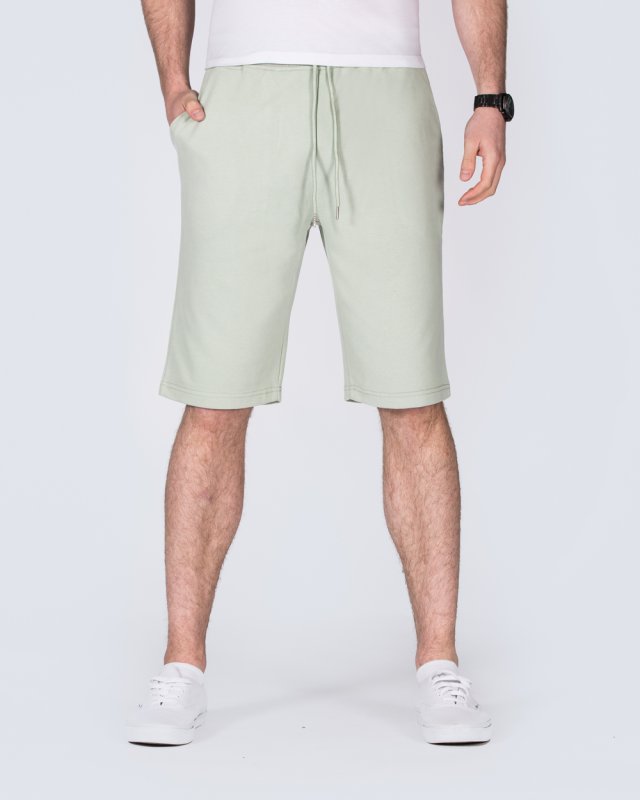 2t Tall Jakob Sweat Shorts (light green)
