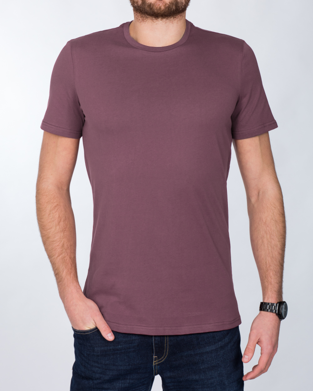 2t Tall T-Shirt (dusty purple)