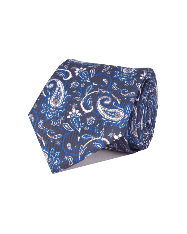 Double Two Extra Long Paisley Tie (blue)